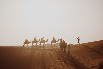 许多人白天骑骆驼穿过沙漠